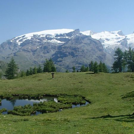 Champoluc Apartment Bagian luar foto